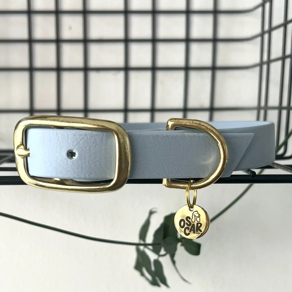 Collier en Biothane et laiton