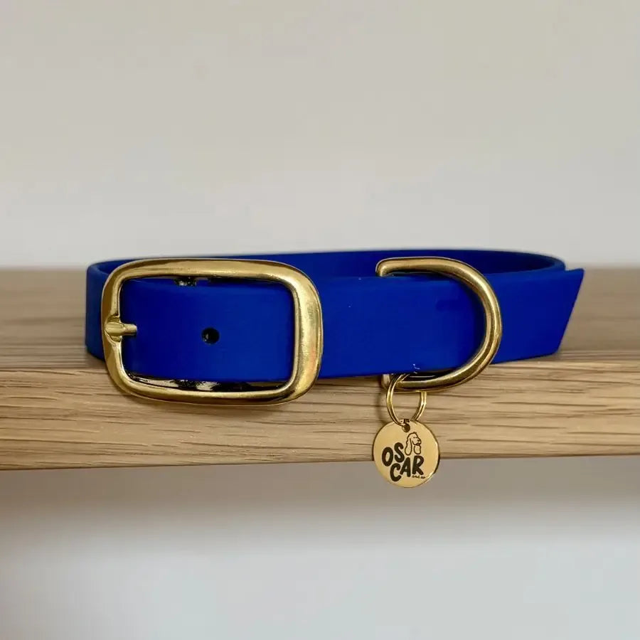 Collier en Biothane et laiton