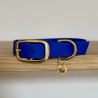 Collier en Biothane et laiton