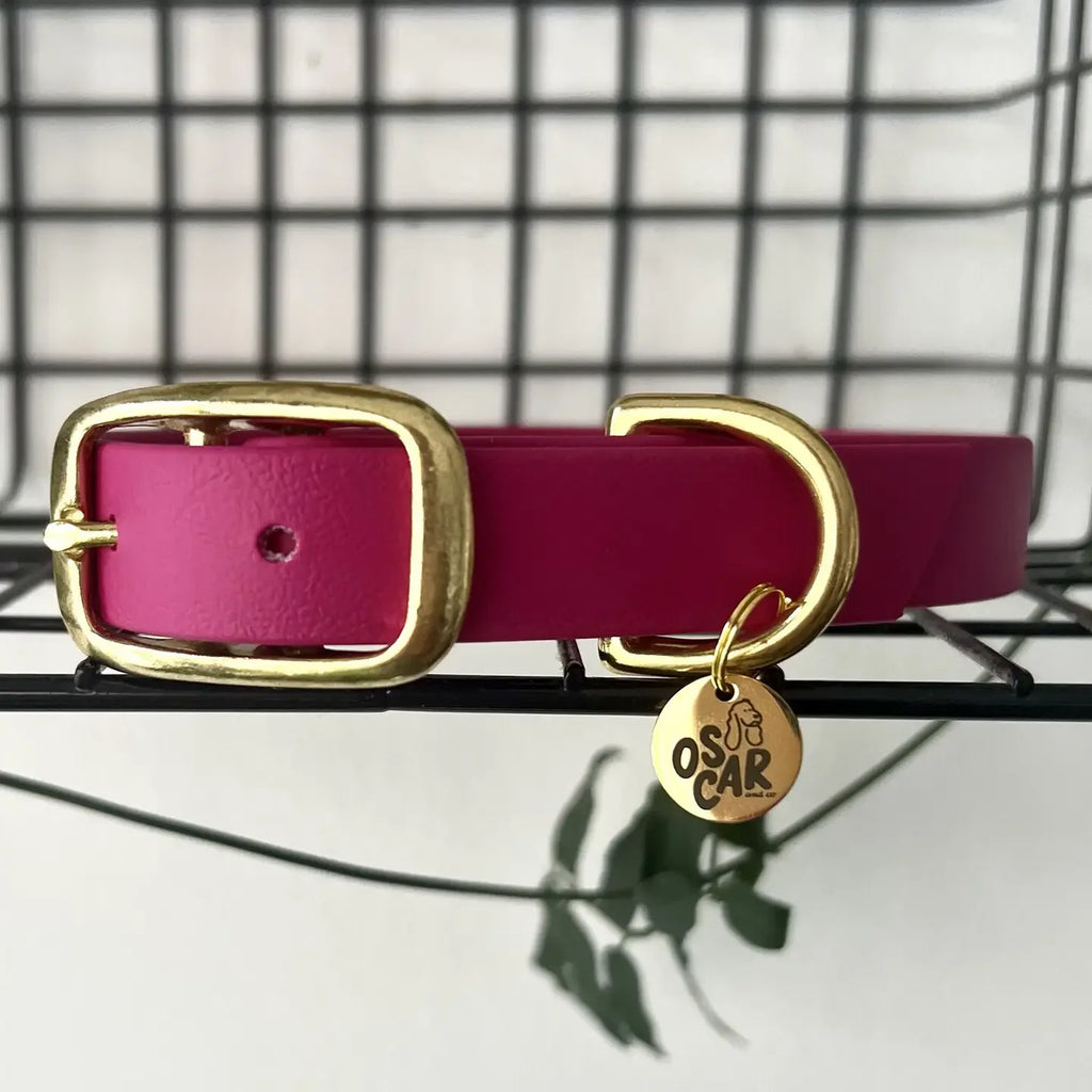 Collier en Biothane et laiton