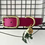 Collier en Biothane et laiton