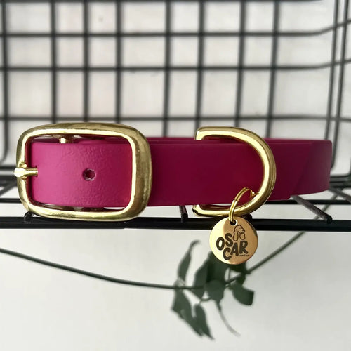 Collier en Biothane et laiton