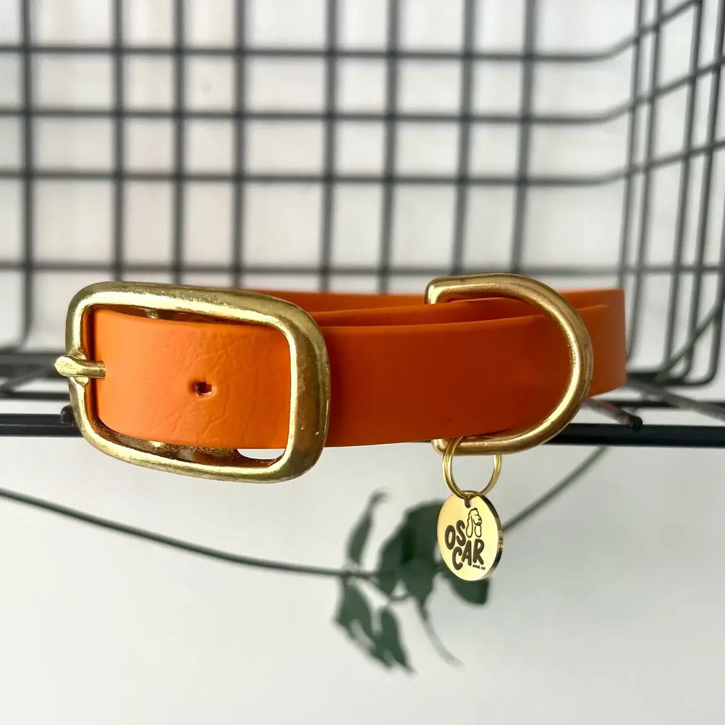 Collier en Biothane et laiton