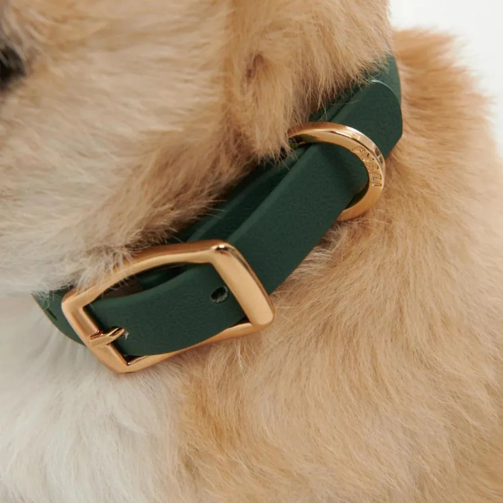 Collier perforé pour pins Vert forêt