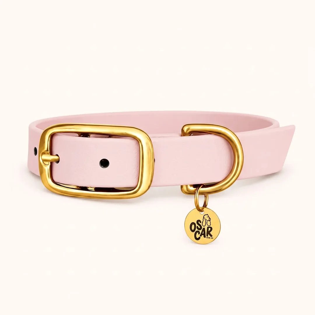 Collier rose en Biothane et laiton