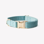 Collier velour Bleu