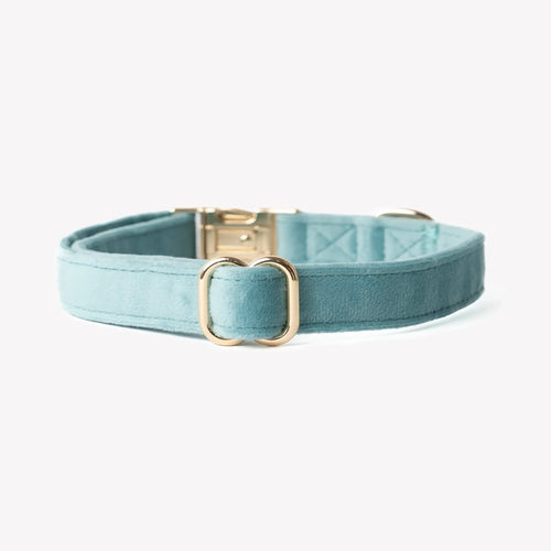 Collier velour Bleu