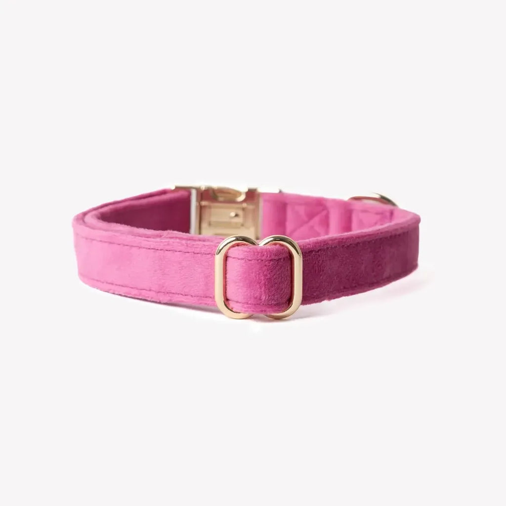 Collier velour fuchsia