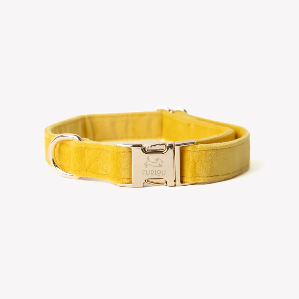 Collier velour Jaune