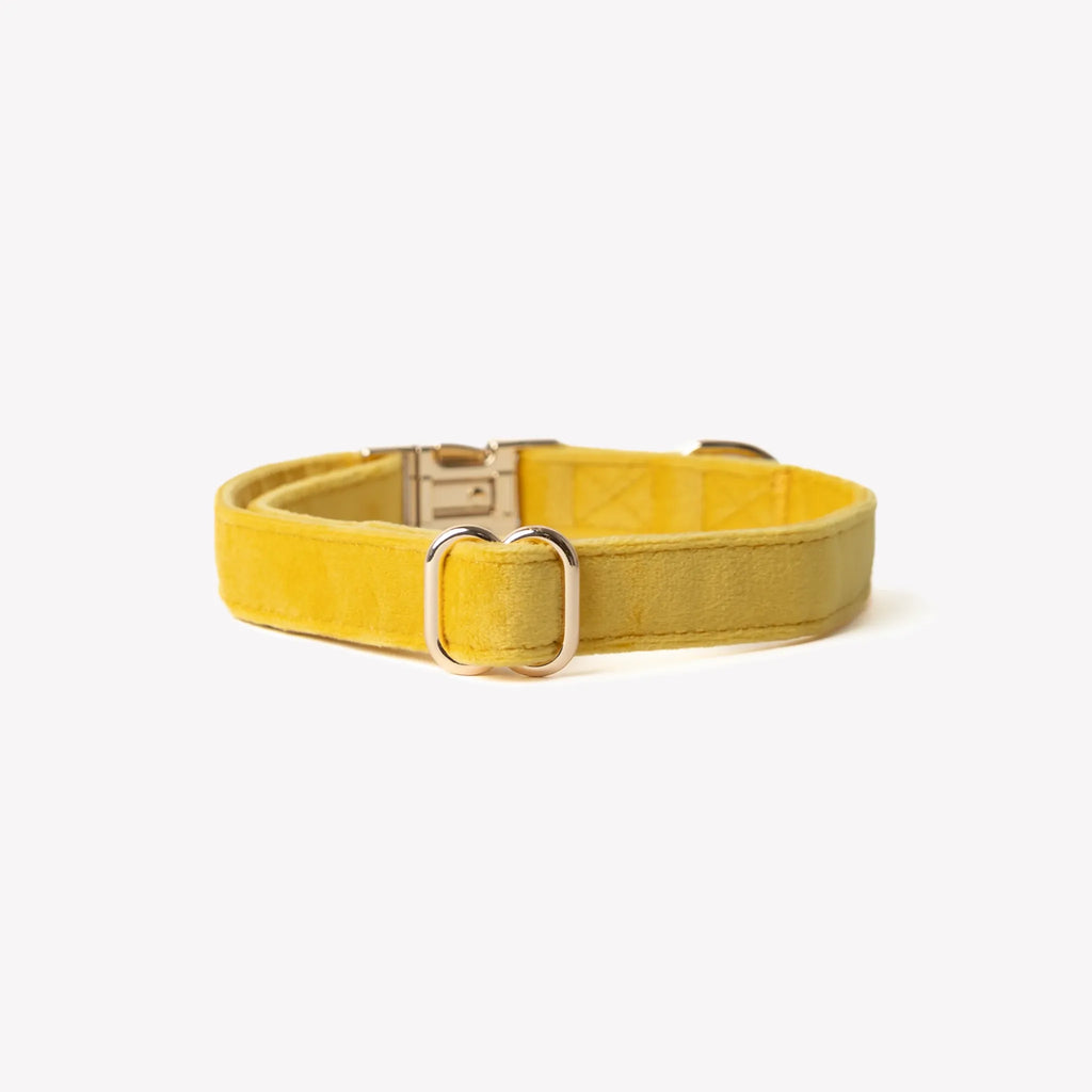 Collier velour