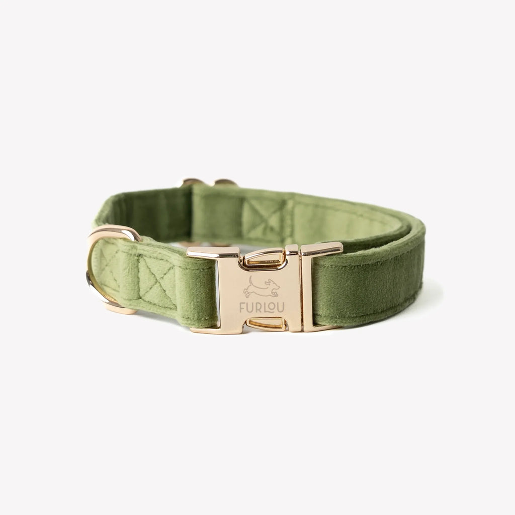 Collier velour