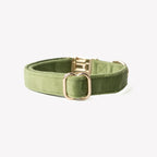 Collier velour