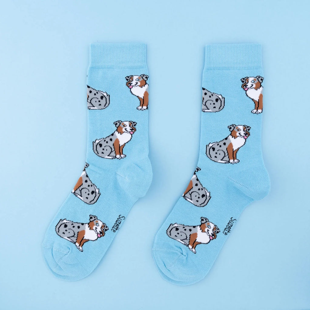 Chaussette race de chien - Berger Australien