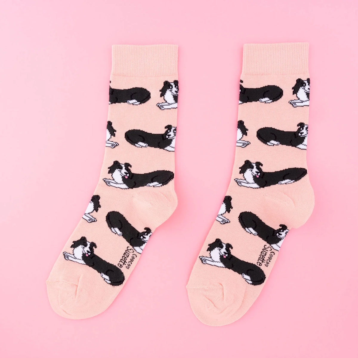 Chaussette race de chien - Border Collie