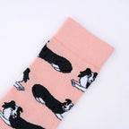 Chaussette race de chien - Border Collie