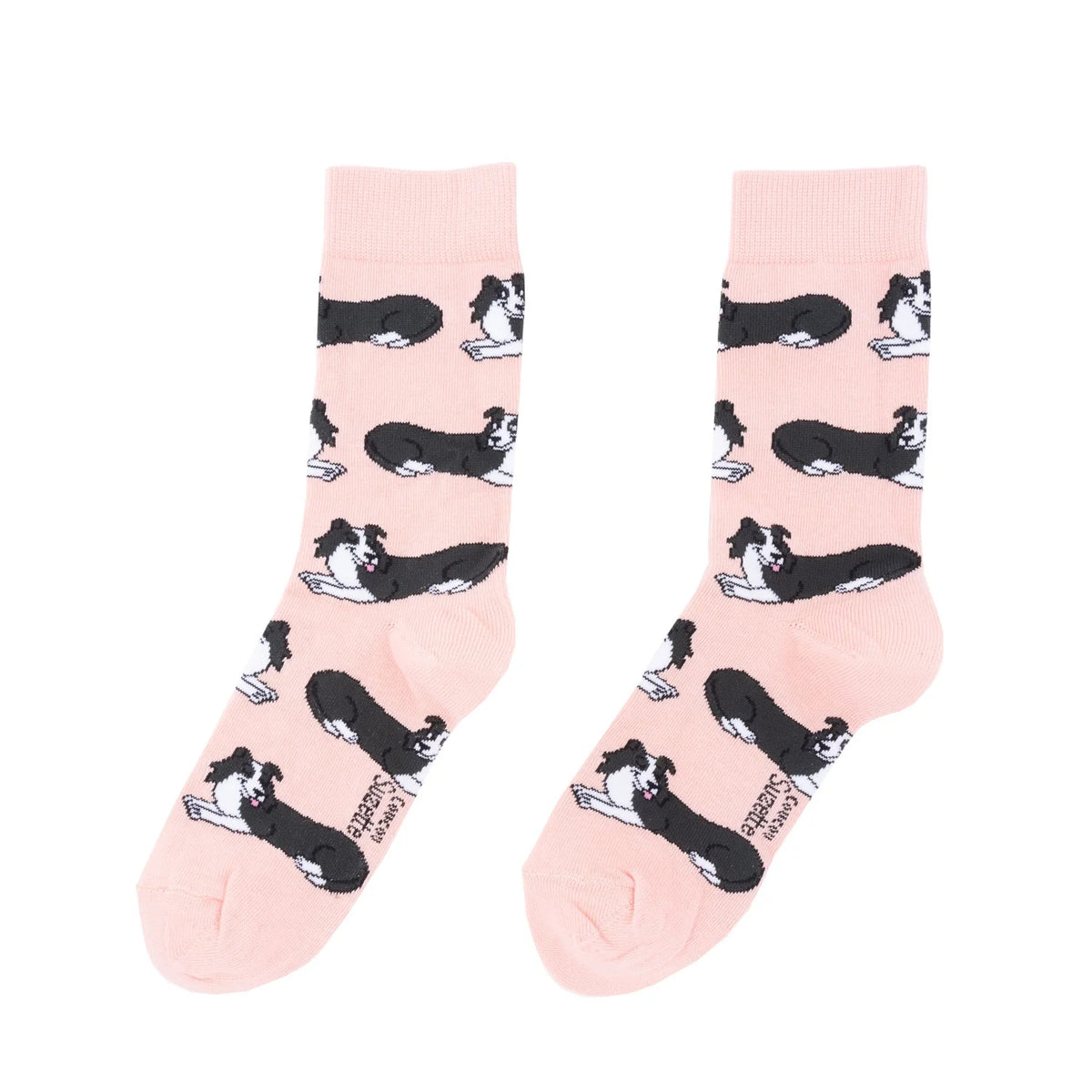 Chaussette race de chien - Border Collie