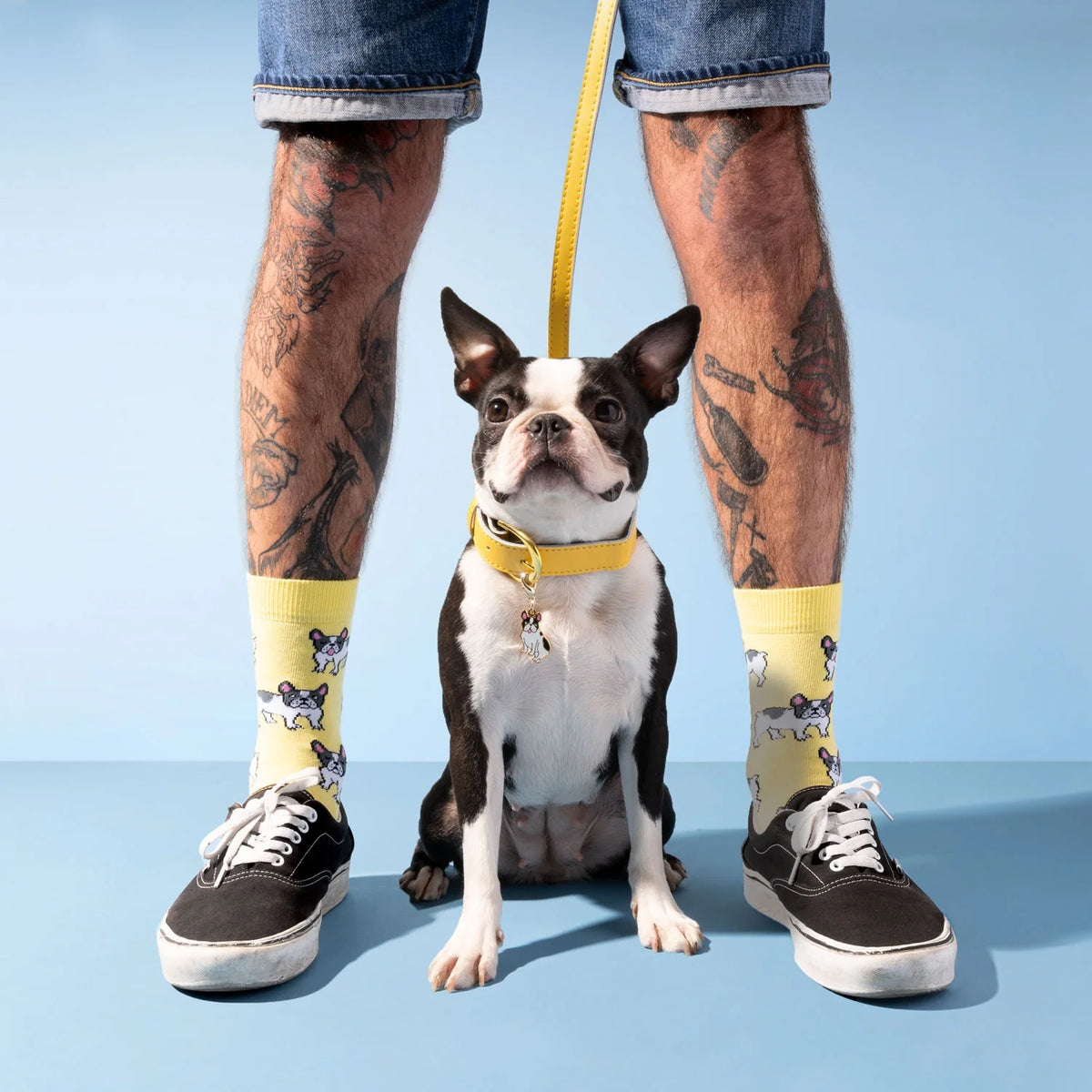 Chaussette race de chien - Bouledogue Français