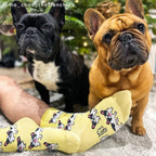 Chaussette race de chien - Bouledogue Français
