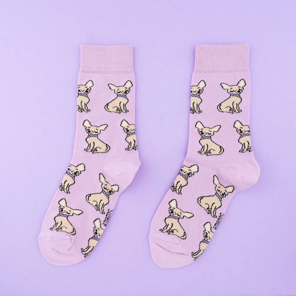 Chaussette race de chien - Chihuahua