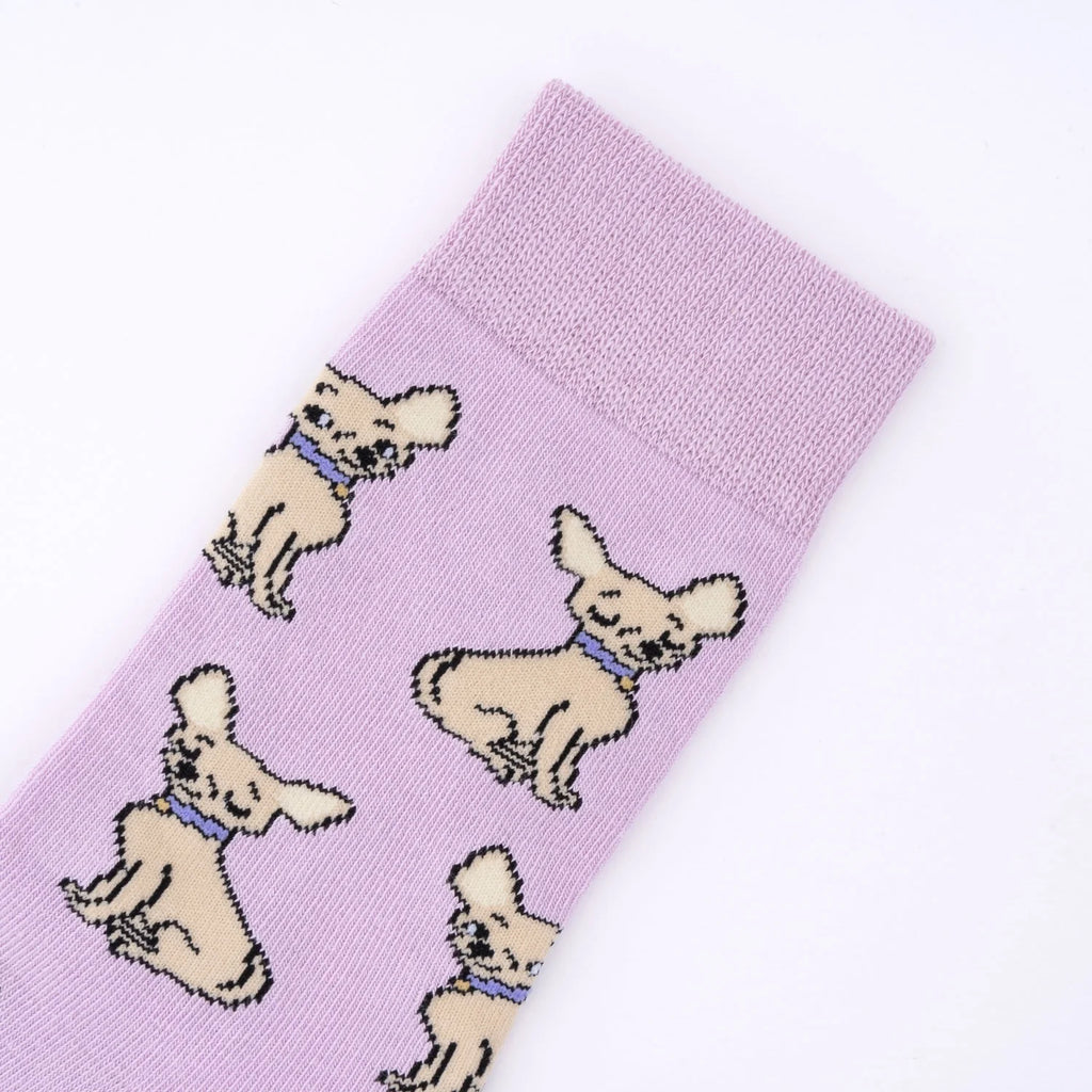Chaussette race de chien - Chihuahua