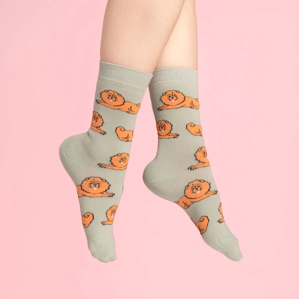 Chaussette race de chien - Chow-chow