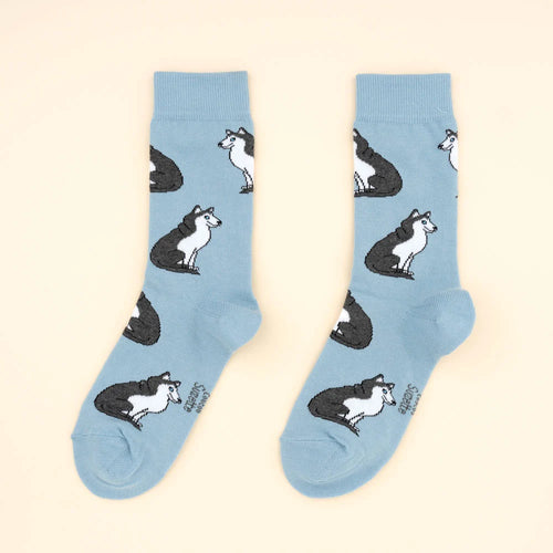 Chaussette race de chien - Husky