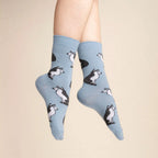 Chaussette race de chien - Husky