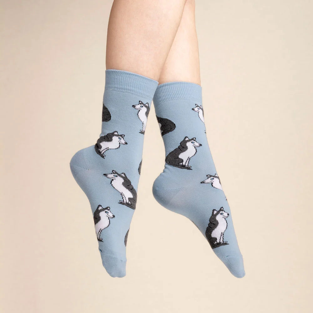Chaussette race de chien - Husky