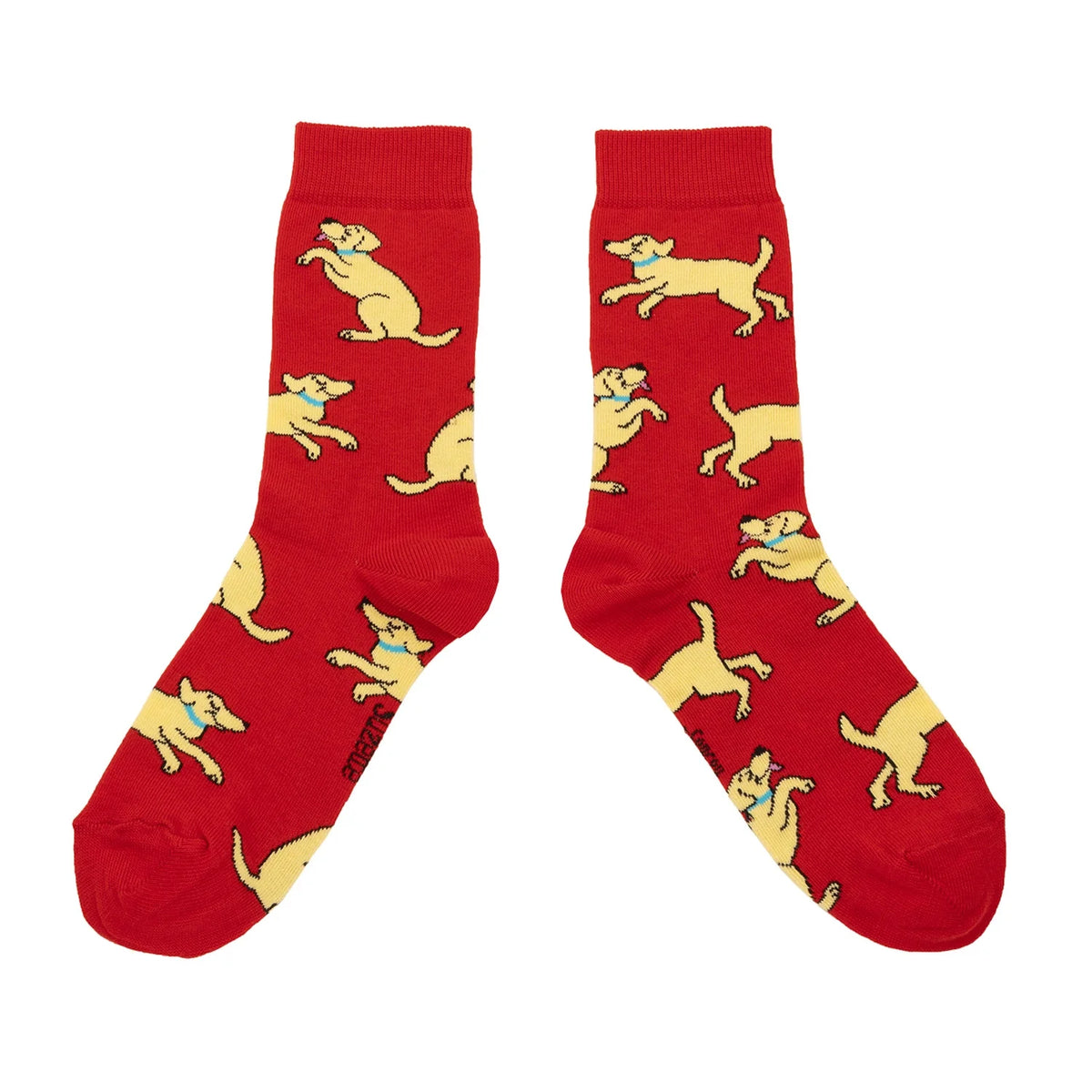 Chaussette race de chien - Labrador
