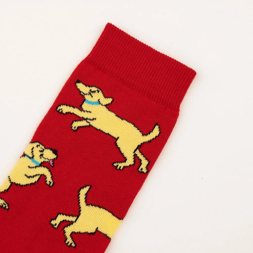 Chaussette race de chien - Labrador