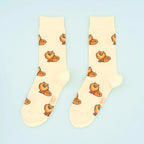 Chaussette race de chien - Spitz