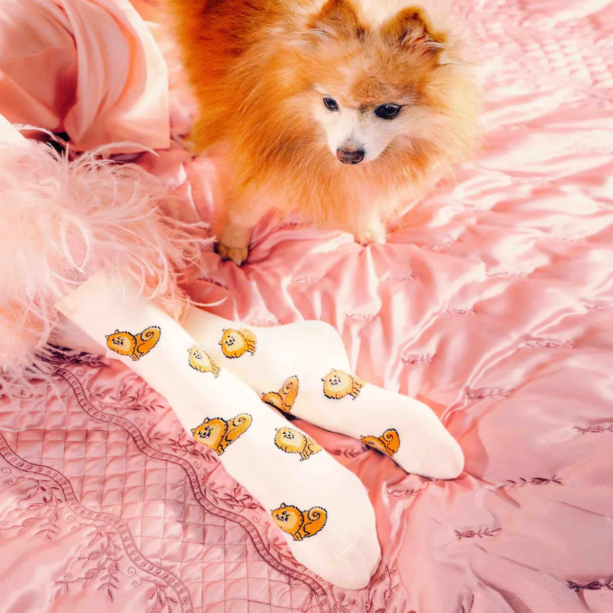 Chaussette race de chien - Spitz
