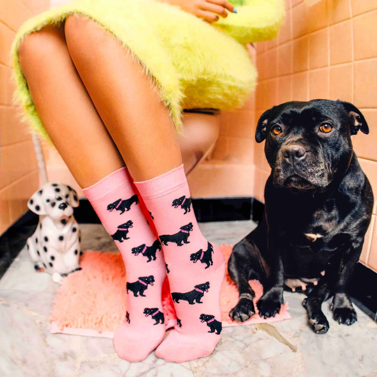 Chaussette race de chien - Staffie