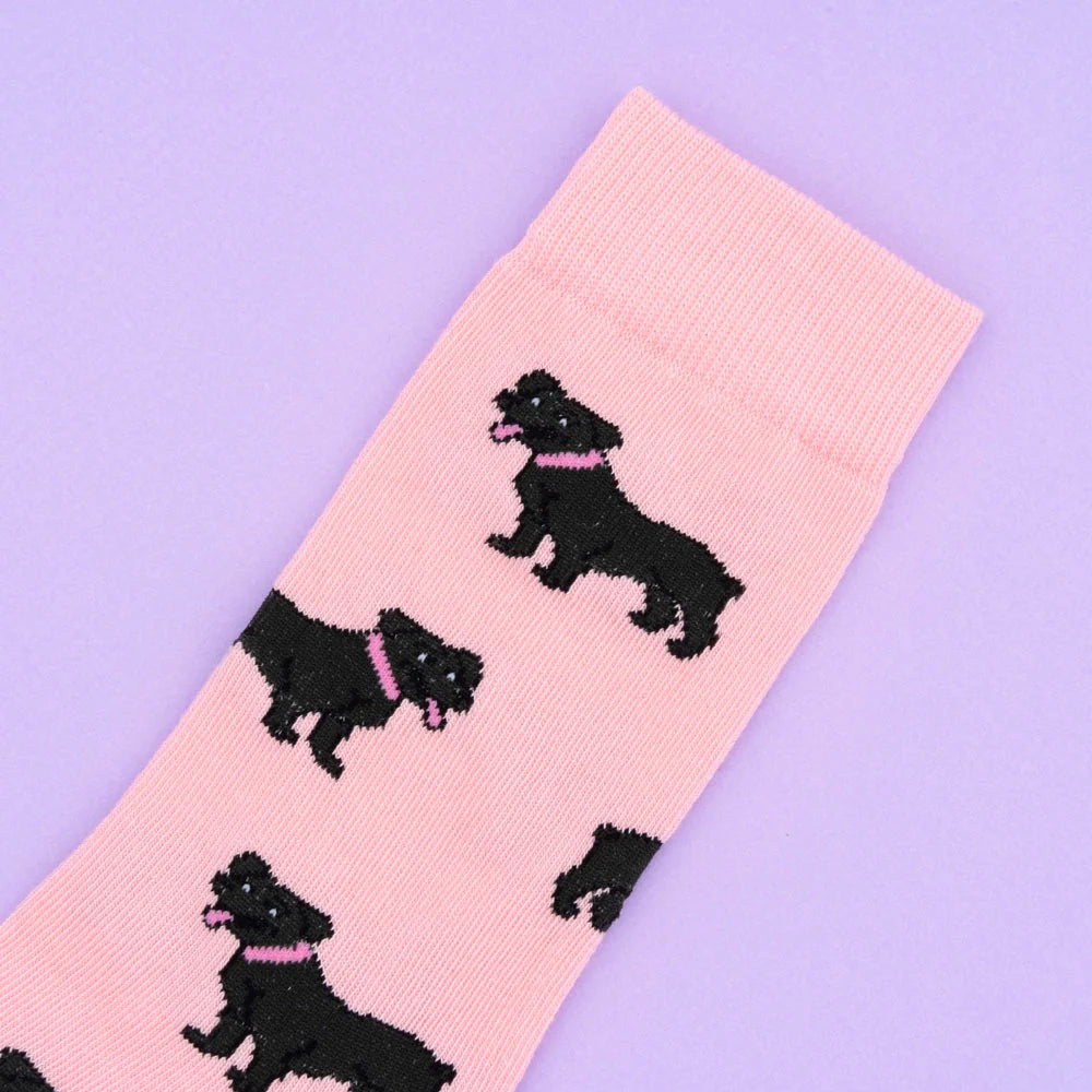 Chaussette race de chien - Staffie