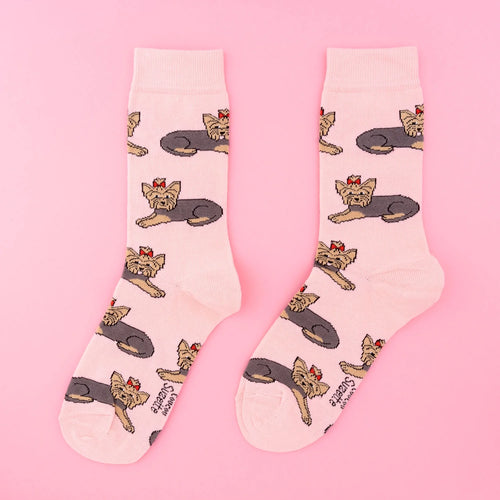 Chaussette race de chien - Yorkshire