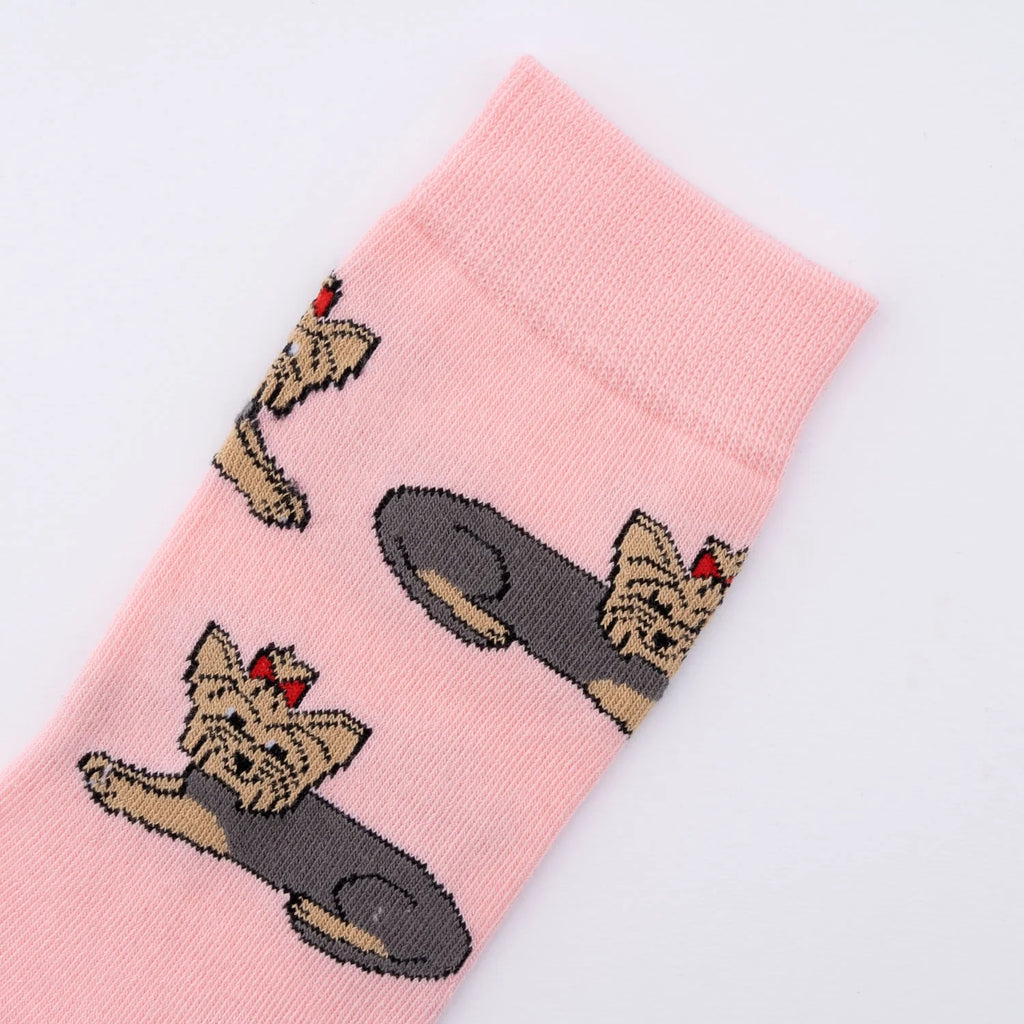 Chaussette race de chien - Yorkshire