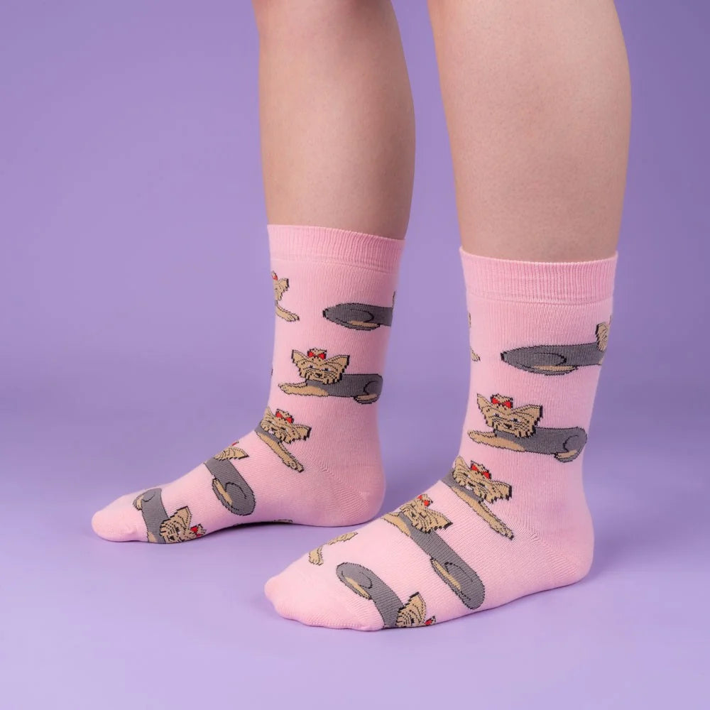 Chaussette race de chien - Yorkshire