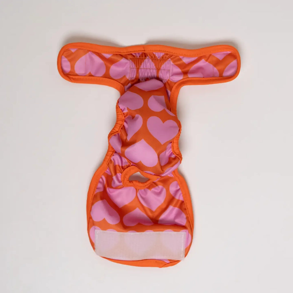 Culottes menstruelles pour chien - Cœurs
