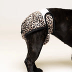 Culottes menstruelles pour chien - Cœurs