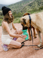 Gourde de voyage pliable pour chien