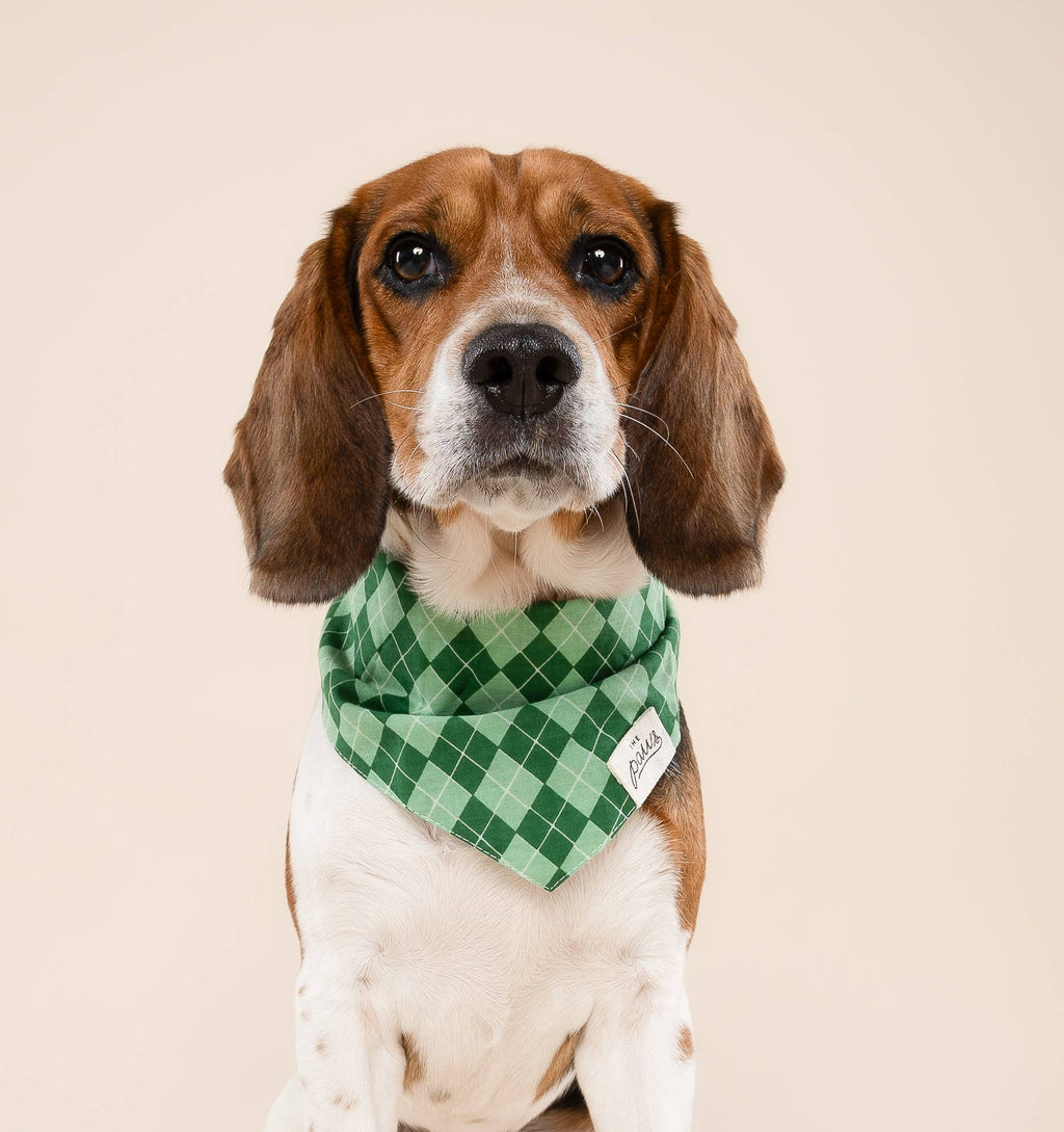 Bandana pour chien - Tartan vert