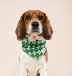 Bandana pour chien - Tartan vert