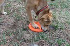 Frisbee en caoutchouc