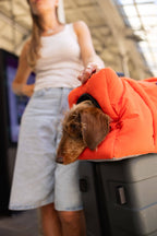 Sac de voyage orange