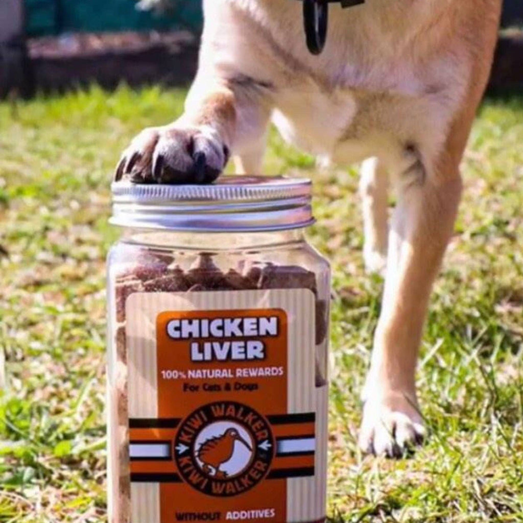 Friandises lyophilisées pour chien
