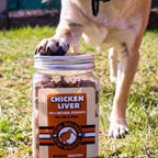 Friandises lyophilisées pour chien