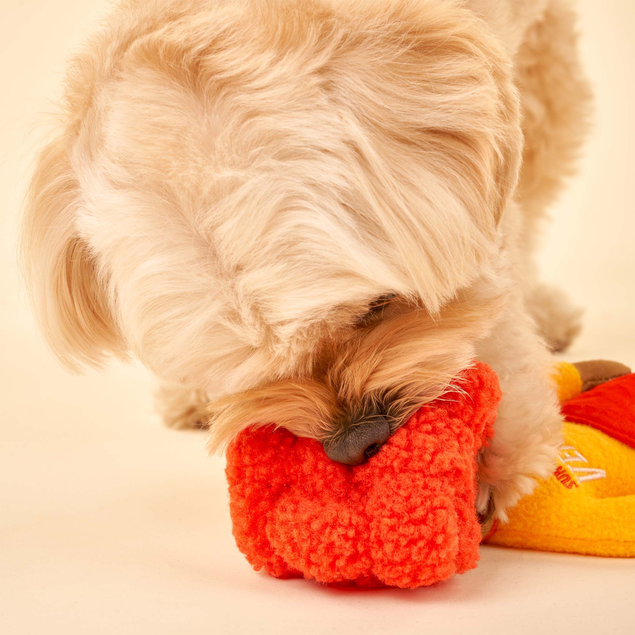 Jouet Surfer Hooman