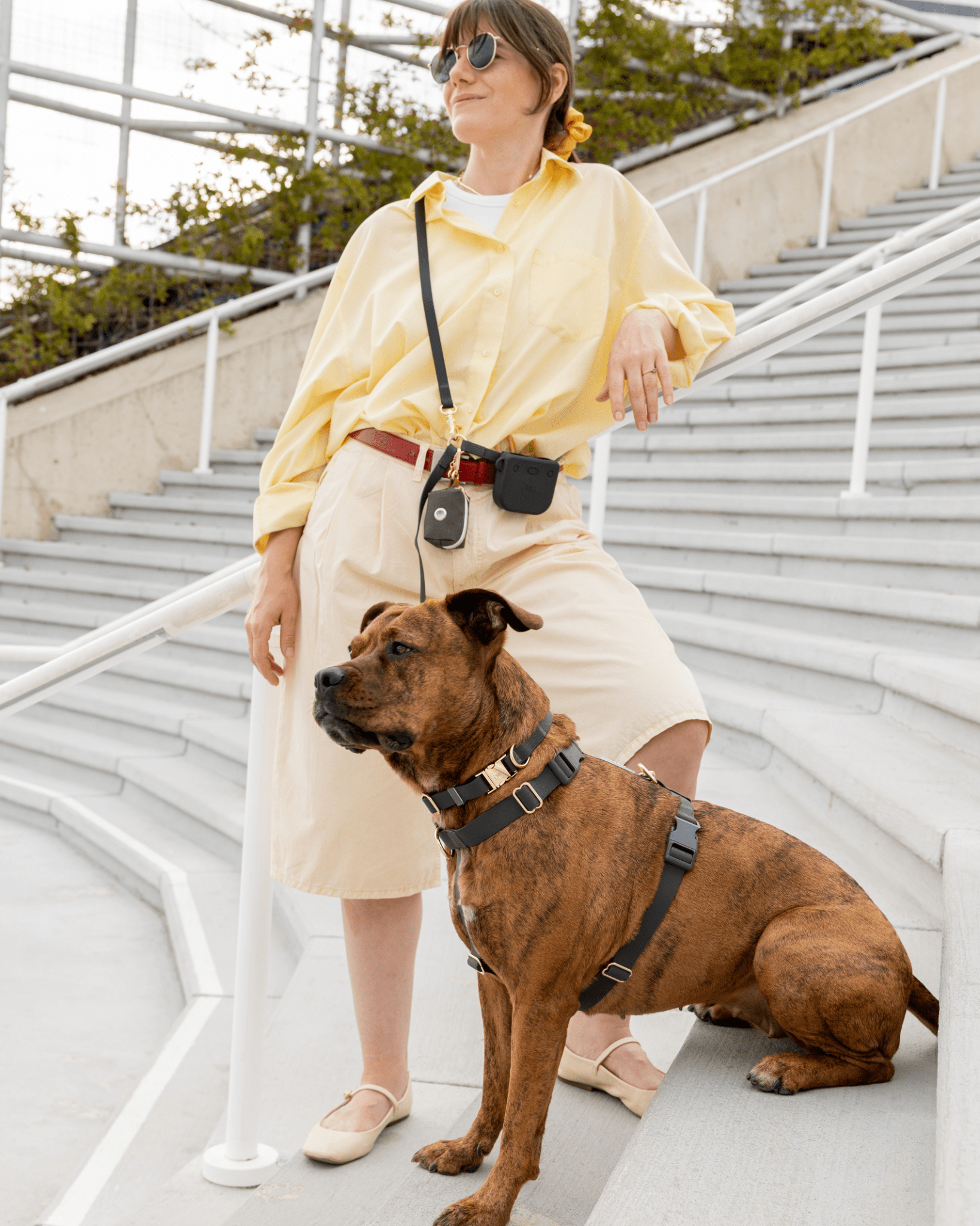 Harnais pour chien imperméable - Noir