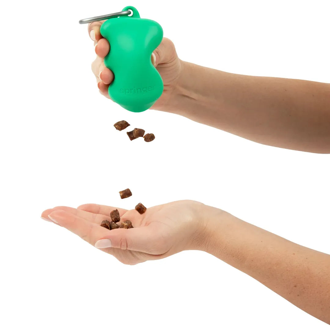 Distributeur de friandises en silicone à presser vert