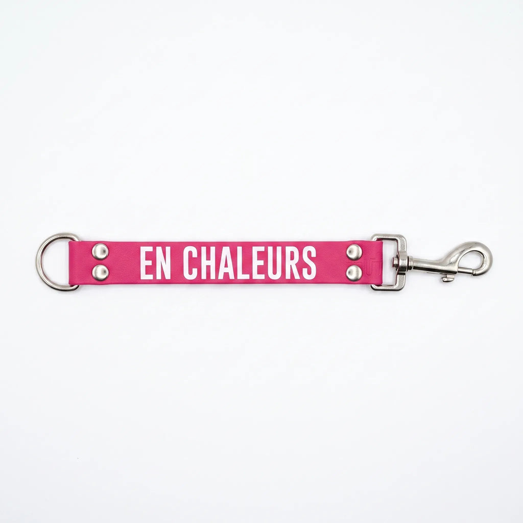 DogTalker EN CHALEUR